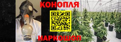 стафф Коммунар