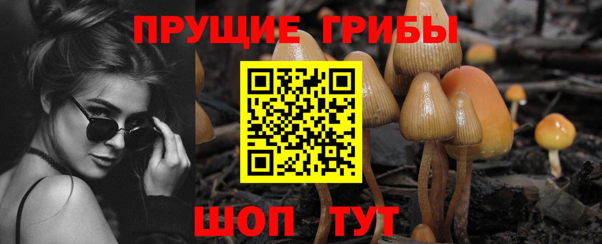 Кизилюрт  как найти закладки  Вход с VPN  Галлюциногенные грибы ЛСД 